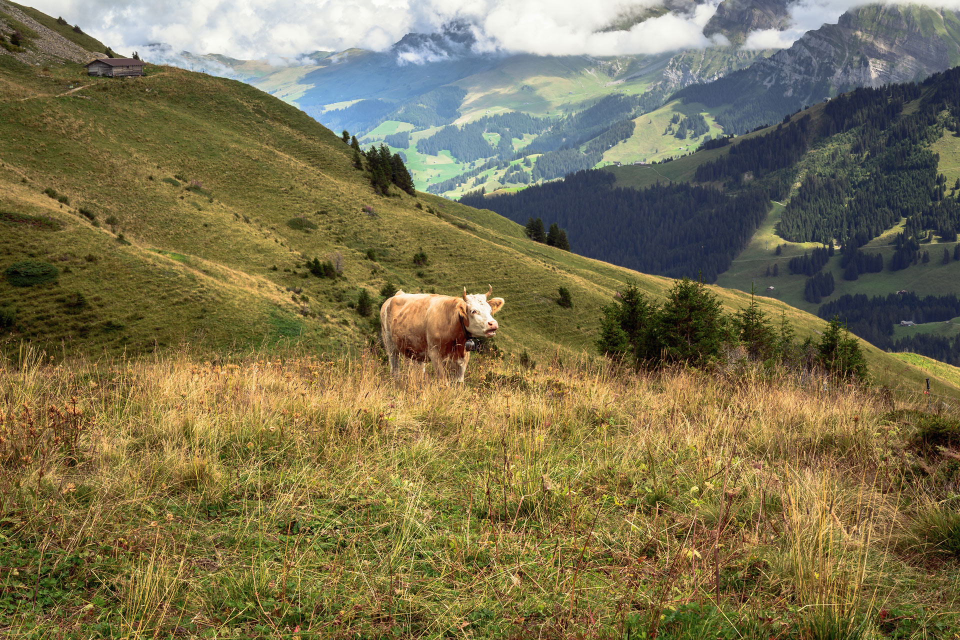 Adelboden